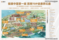 适配三胎时