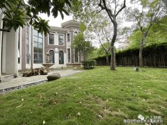 赠3至368平方米地下室；总价200万元/套以下的成交